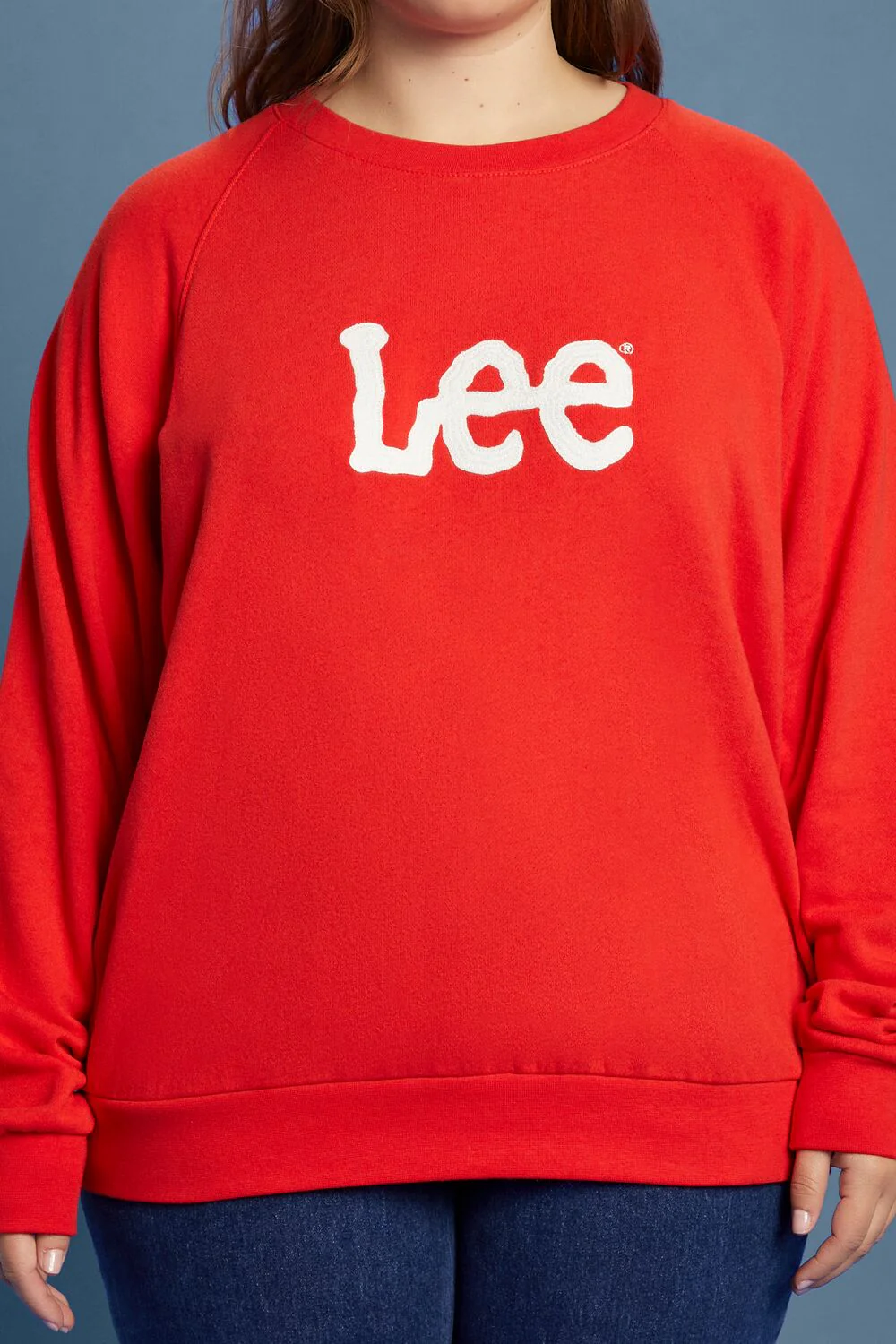 Plus Size Fleece Lee Graphic Pullover - Image 3
