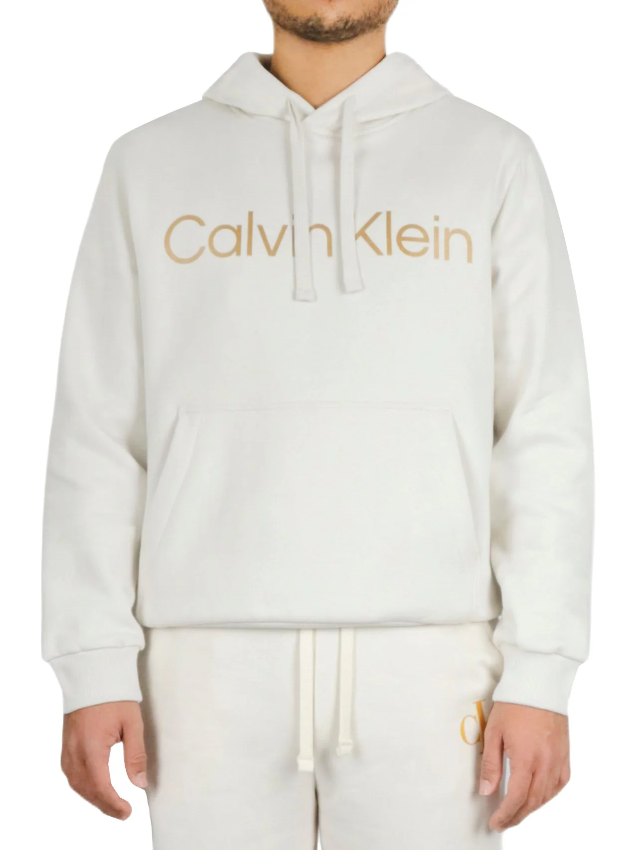 Long Sleeves Metallic Logo Po Hoodie - Image 3
